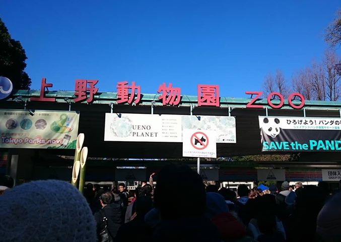 上野動物園割引クーポン21 無料開園日 料金を安く行く方法5選 駐車場情報 レジャー坊や