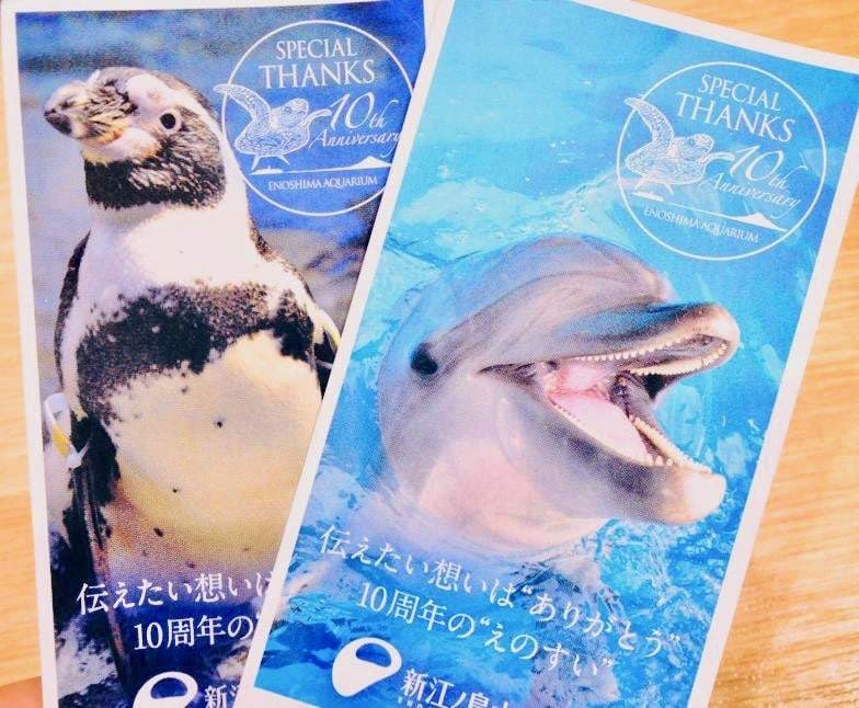 2021新商品 新 江ノ島水族館 チケット 招待券 えのすい 4枚