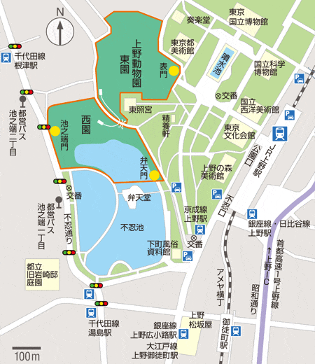 上野動物園　アクセス