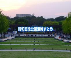 昭和記念公園　混雑