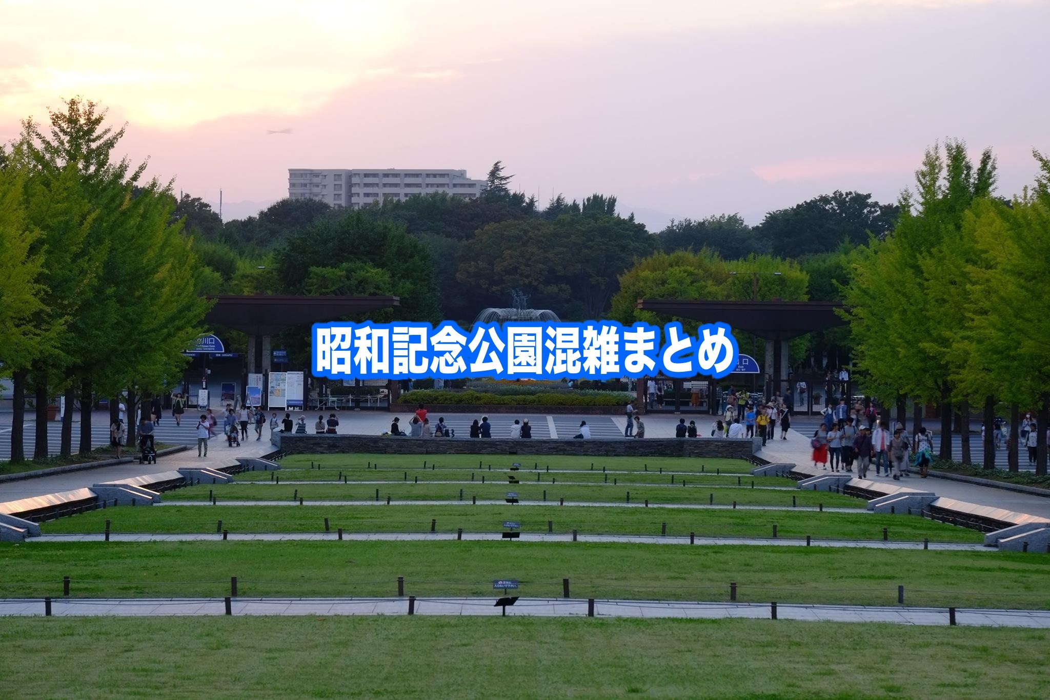 昭和記念公園　混雑