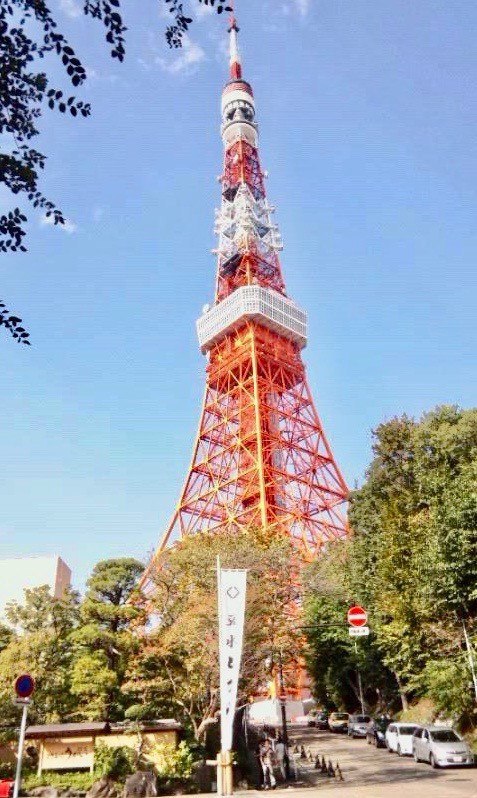 東京タワー　チケット　割引