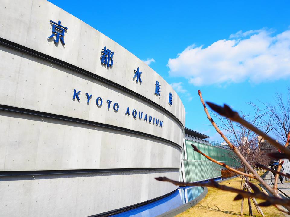 京都水族館　割引