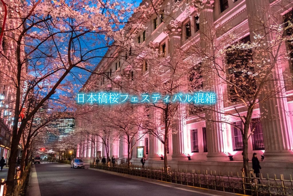 日本橋桜フェスティバル混雑21 平日 土日 ライトアップ時間と駐車場混雑攻略 レジャー坊や